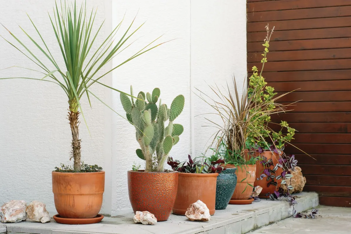 DIY Outdoor Decor Ideas That Survive Rain, Wind, and Frost
