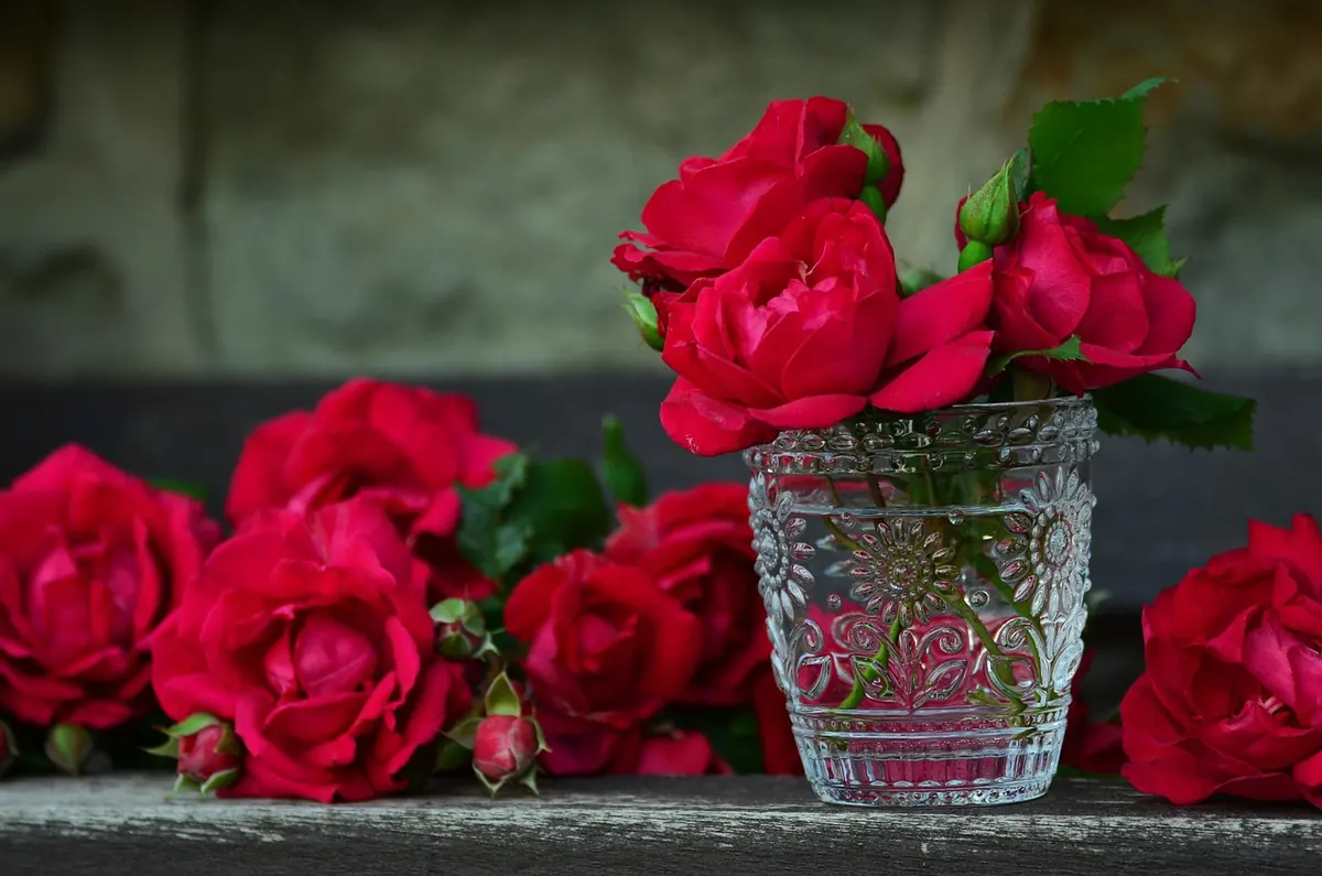 How to Start a Cut Flower Garden for Weekly Bouquets